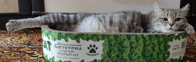 Не бросайте их