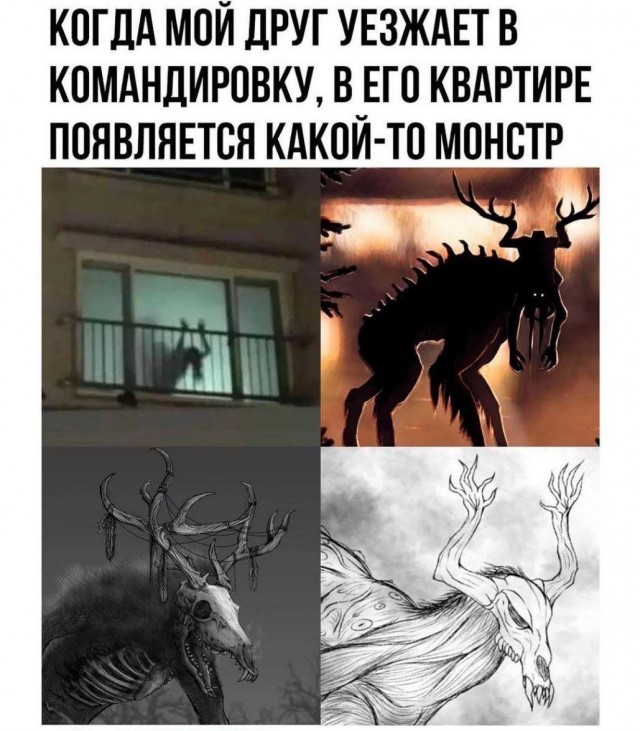 Так себе картинки 25.01.2023