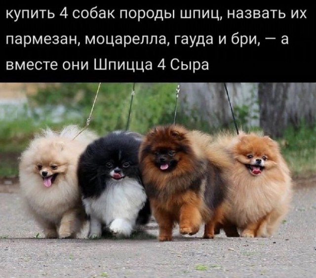 Картинки и мемы, всяко разно - 175