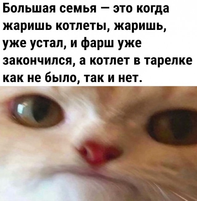 Так себе картинки 21.05.23