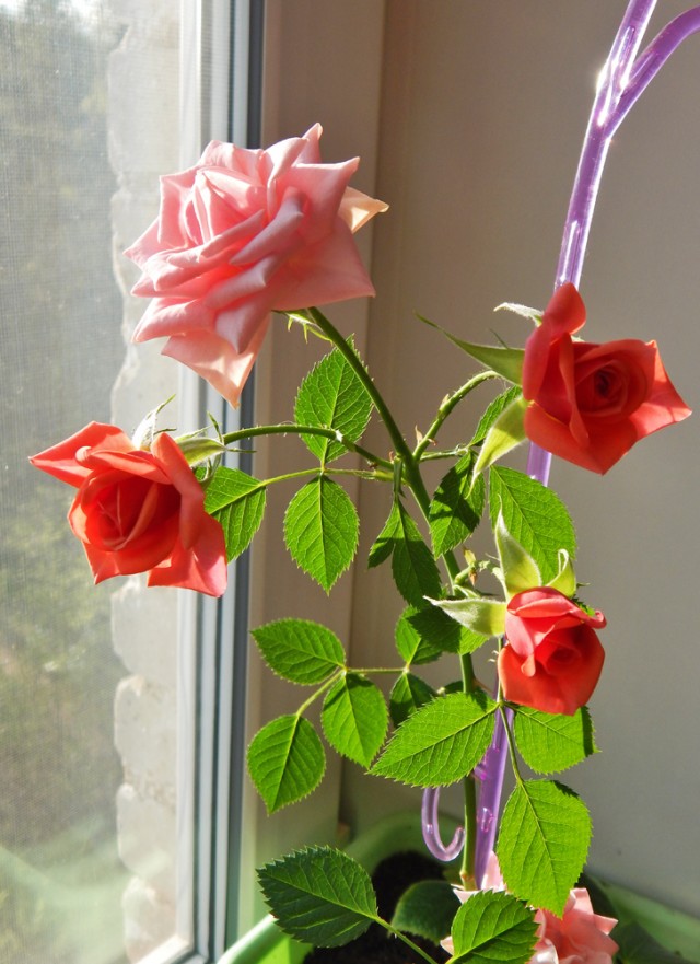 Природа Южного Урала