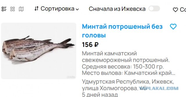 Атлантическая треска: Великобритания и Исландия воевали за эту рыбу 24 года! Что в ней такого ценного?