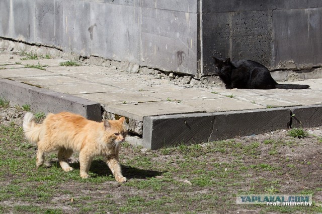 Славутич: последний советский атомоград