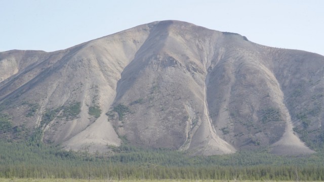 "Планета тайга"