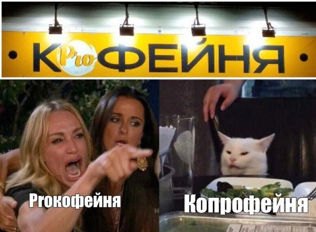 Тут бы и я заорал на кота