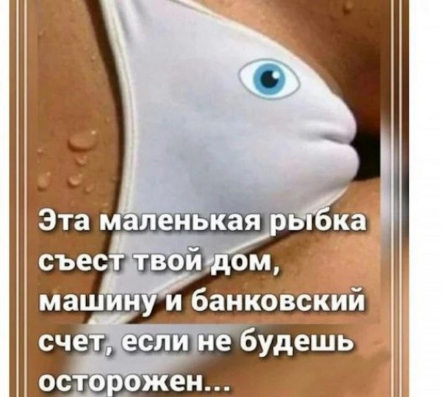 Всего понемногу. От 17.01.24
