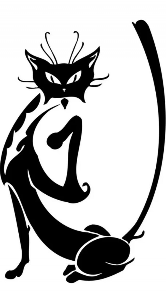 Жизнь домашнего приюта "Котоленд" 431