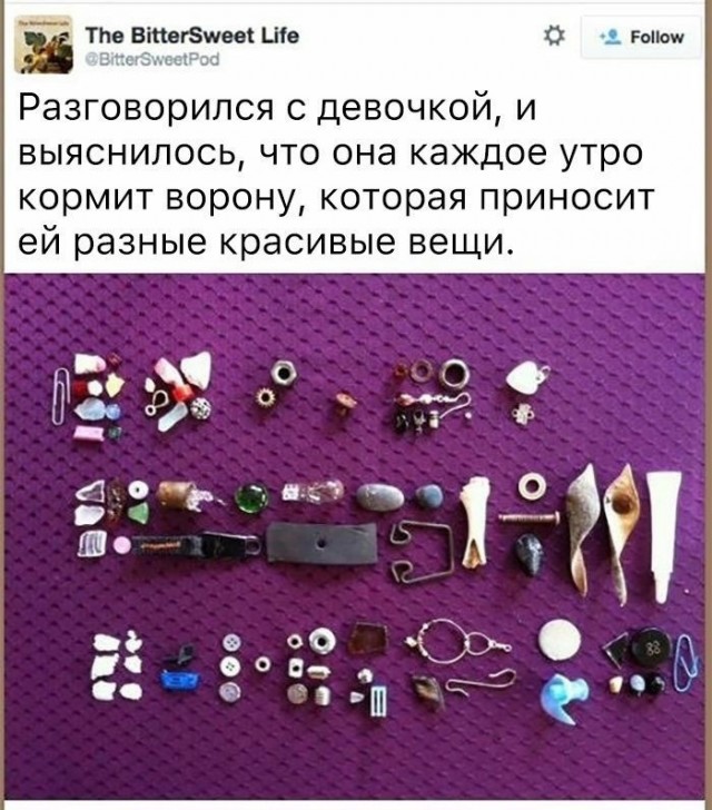 Так себе картинки 24.06.24