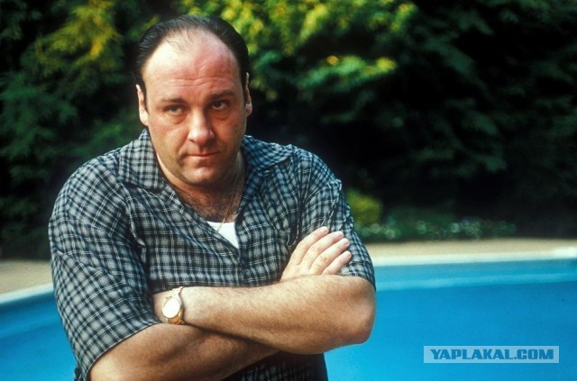 Мэр Долгопрудного Юдин задержан.