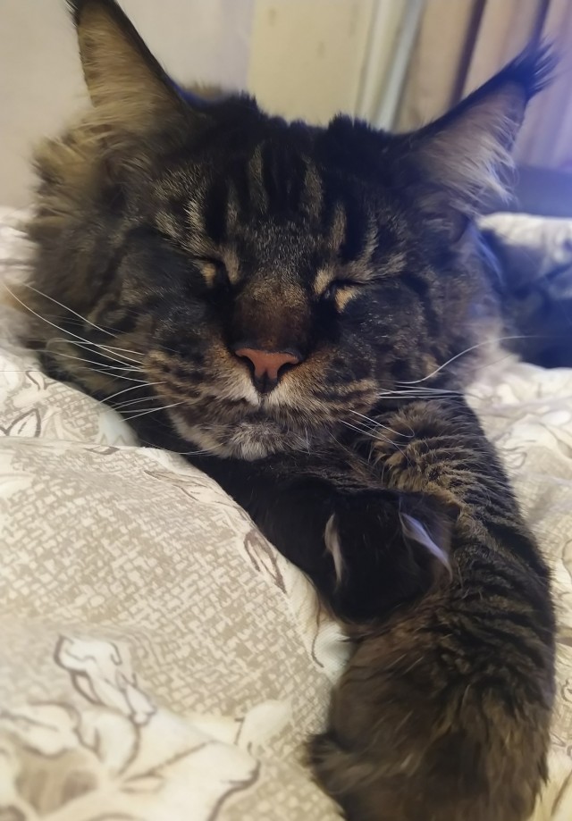 Королевский уход