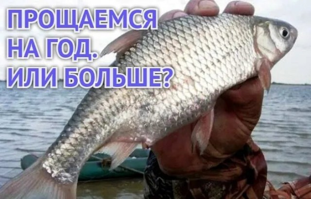 Минсельхоз полностью запретил вылов воблы в Волге в 2025 году