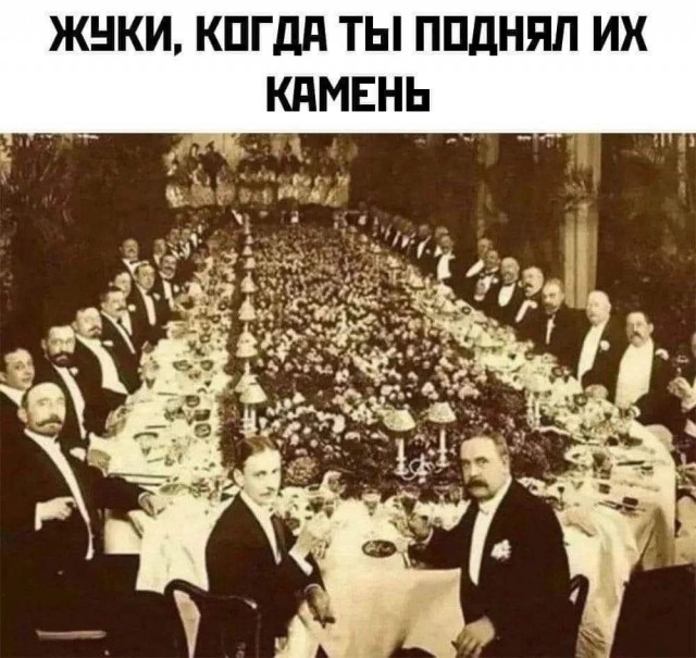 Из мира деградации - 14