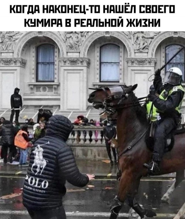 Весёлый полтишок 27.02.2025