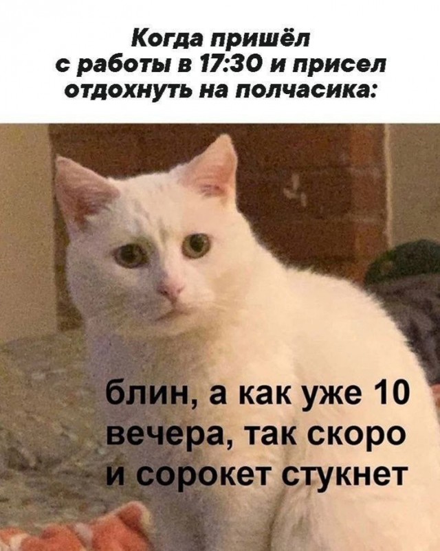 Всего понемногу. От 08.03.2025