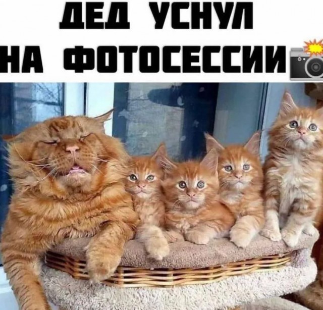 Завалялось тут случайно немного забавных картинок