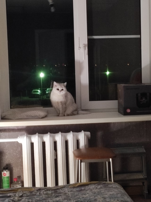 Махина