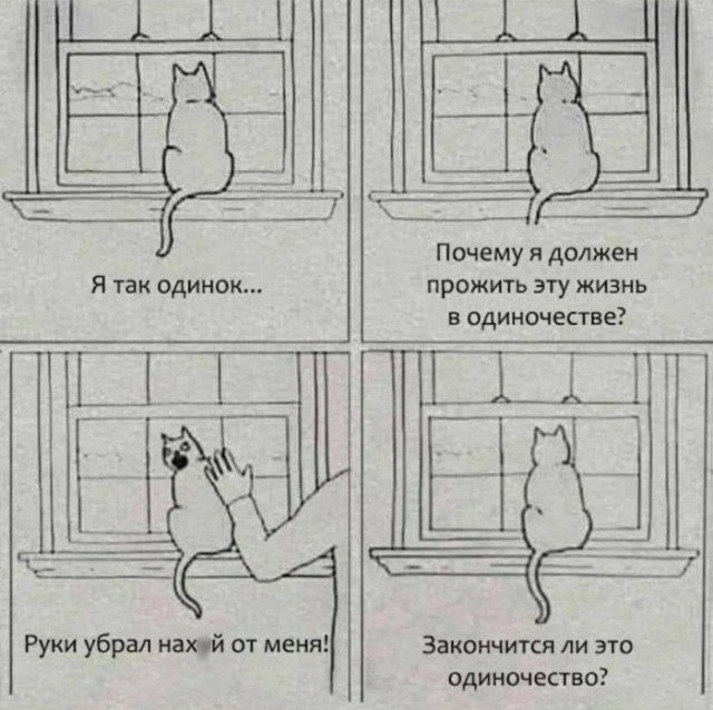 Немного забавных картинок от 04.05.2025