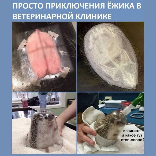Еб**ины