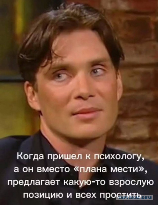 Веселые картинки в пятницу (06.06)