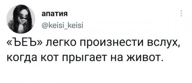 Веселые картинки в пятницу (01.08)