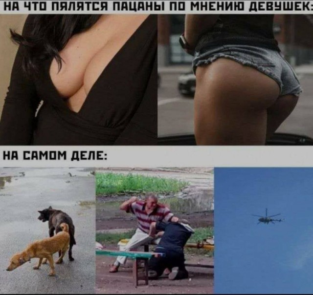 Веселые картинки в понедельник (25.08)