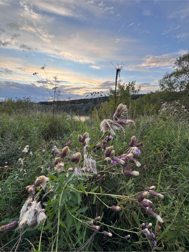 Природа в Подмосковье