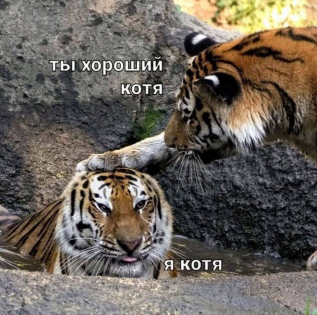 Американцы открывают для себя русских