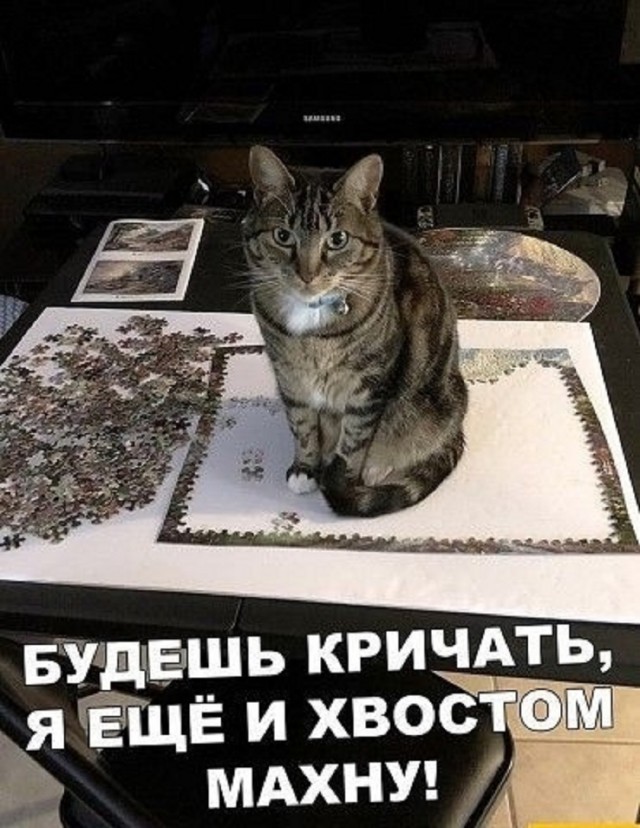 Так себе картинки 25.01.26