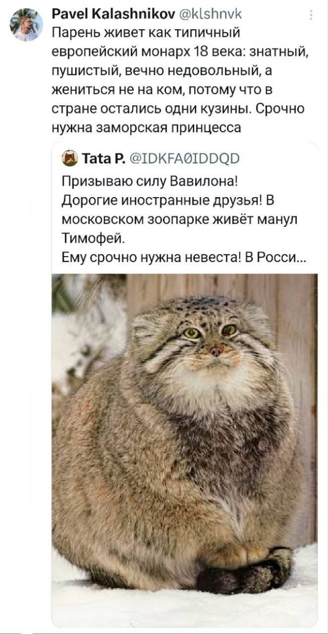 Познакомлюсь