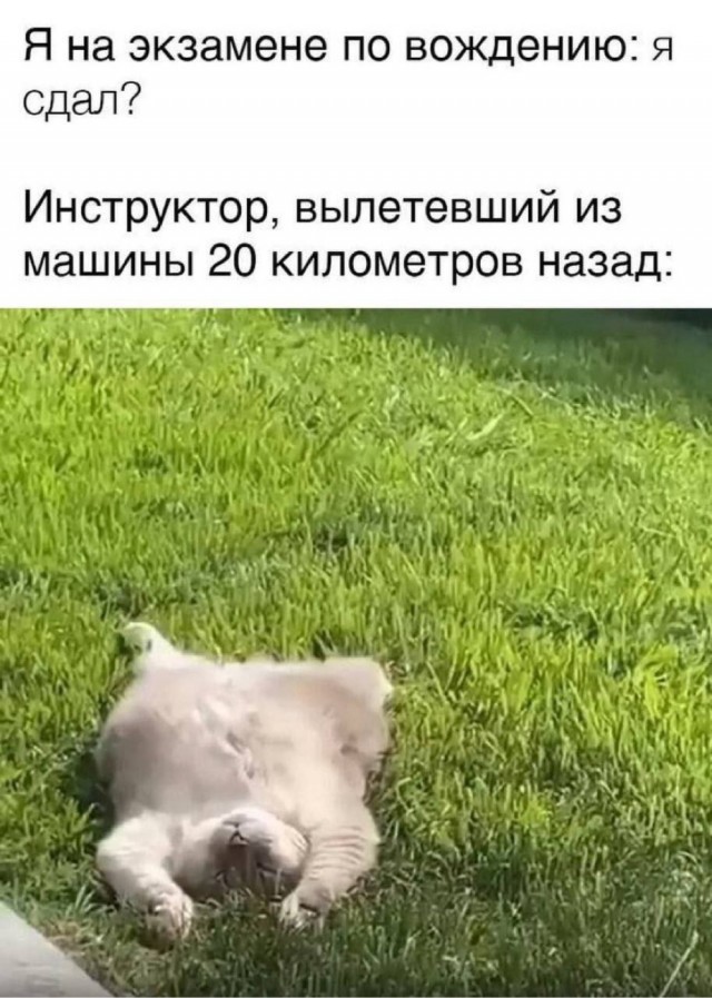 Воскресные картинки