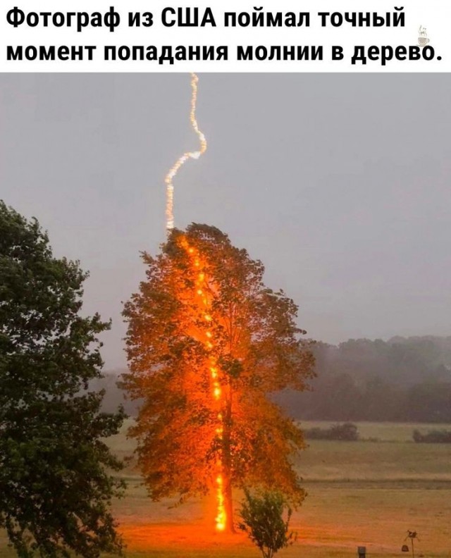 Что будет, если молния ударит рядом: почему это всё равно смертельно опасно