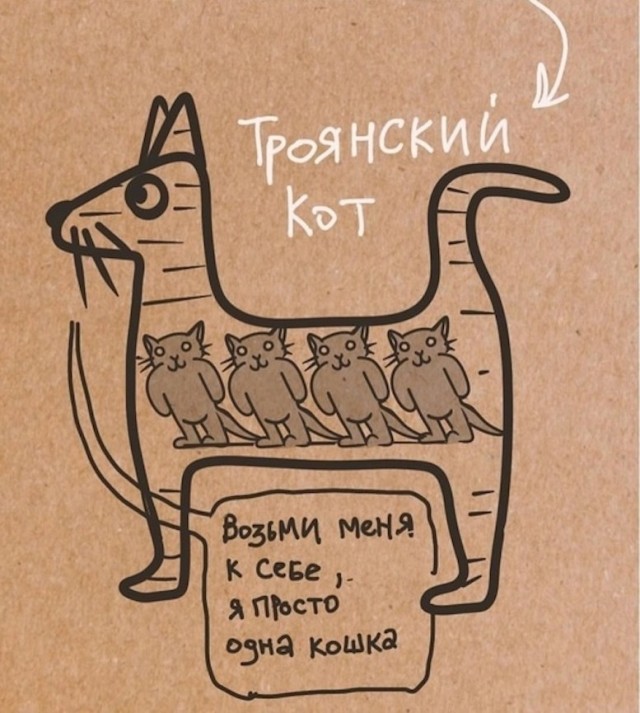 Картинки для деградации 213 (разной степени свежести)