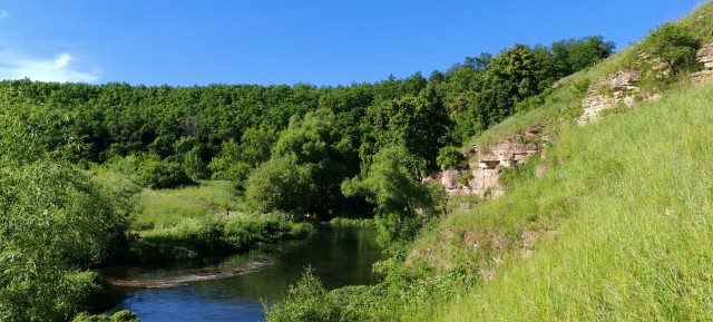 Аргамач Пальна