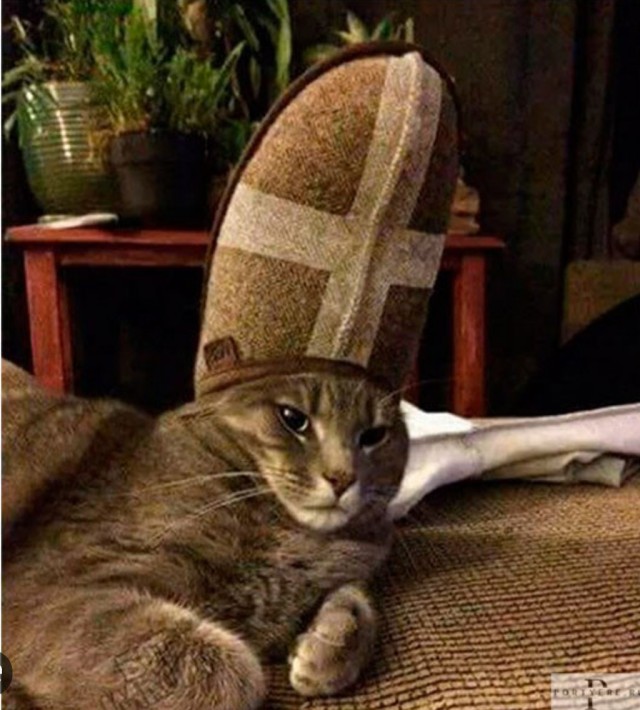 Корм
