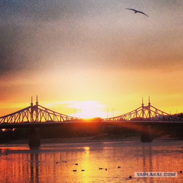 Тверские школьницы настолько....суровы