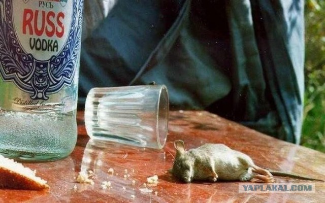Веселая подборка