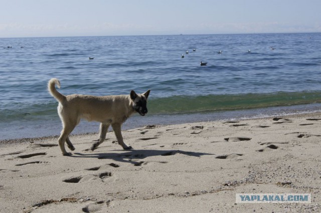 Байкальский пляж