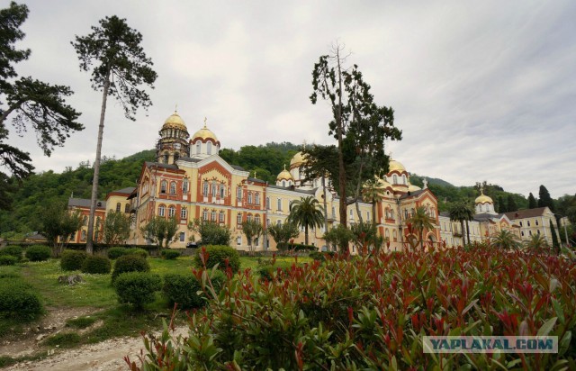 Абхазия, пансионат "Самшитовая роща"