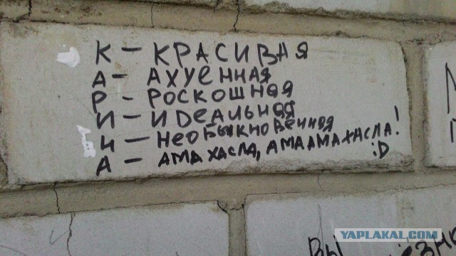 Картинки