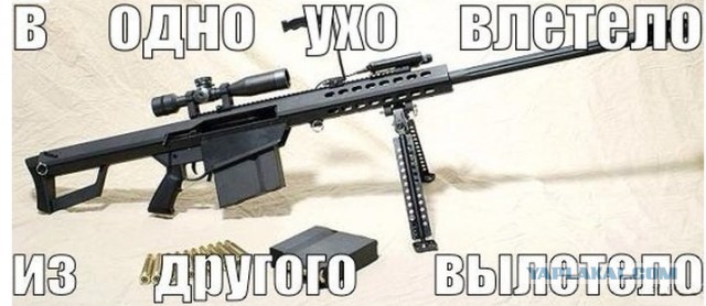 Подборка смешных и забавных фото