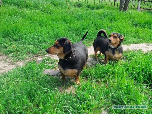 Две старых фотки