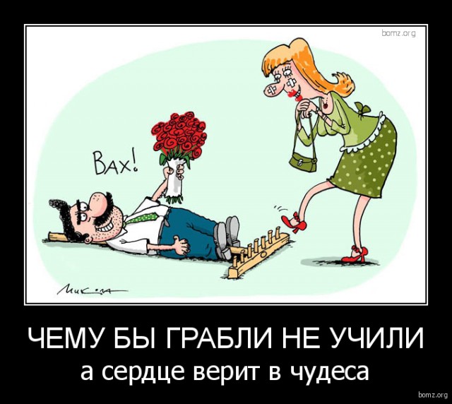Картинки для поднятия настроения - 4