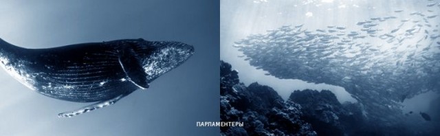 МЕГАПОДБОРКА