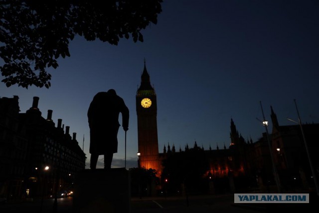Главные фотографии года по версии Reuters