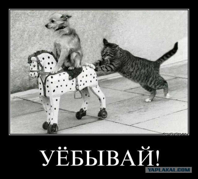 Улицы разбитых фонарей. Дяди Степы по особо тяжким.