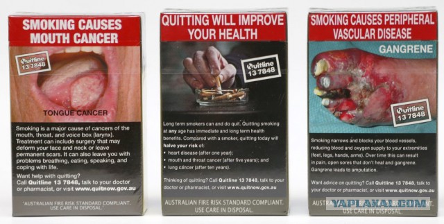 В ноябре изменится дизайн пачек табачных изделий. Будет страшно