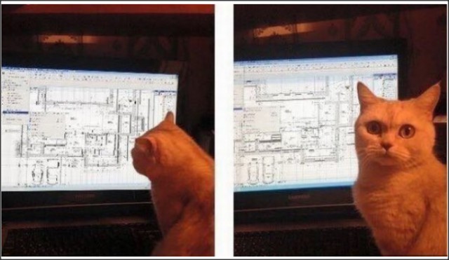 Запилю-ка я картинок