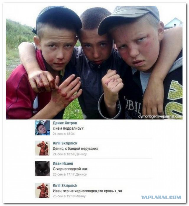 Забавные комментарии из социальных сетей.