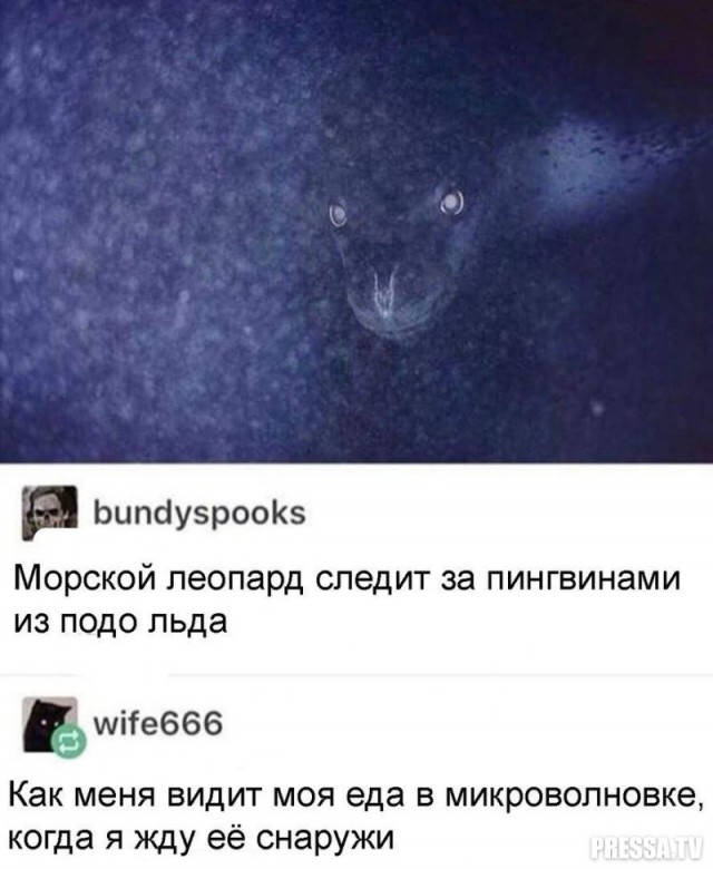 Надписи и прочие скриншоты