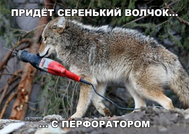 Нестандартный юмор